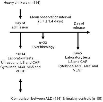 Non-invasive Biomarkers of Liver Inflammation and Cell Death in Response to Alcohol Detoxification